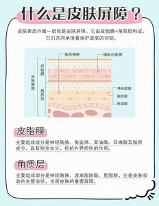 学会科学护肤，正确选择舒缓修复护肤品