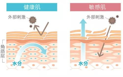 什么是敏感肌的屏障受损？了解清楚，修复之路自然顺畅