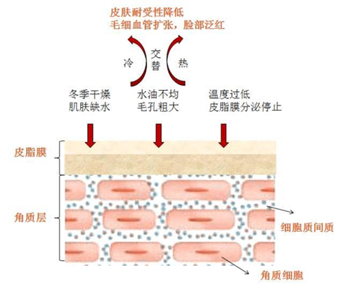 如何修复脸上红血丝？日常护肤注意事项？