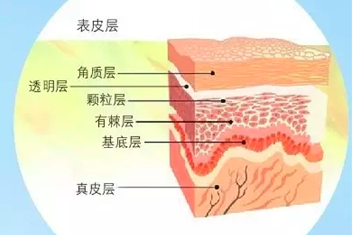 油敏肌出油严重是什么原因造成的？难道角质层过厚的原因