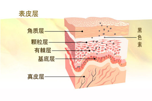 敏感肌为何修复总是不给力？因为你不了解自己的肌肤